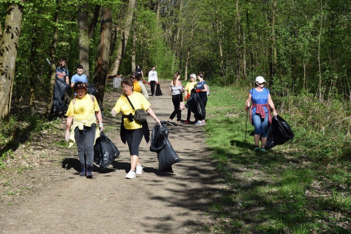 Ilustračný obrázok k článku Žilinčania vyhrnuli rukávy: Do čistenia lesoparku sa nás zapojili desiatky, FOTO