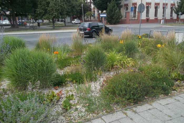 Ilustračný obrázok k článku Trnovčania sa pustili do príjemného boja: Začala súťaž o naj záhradku