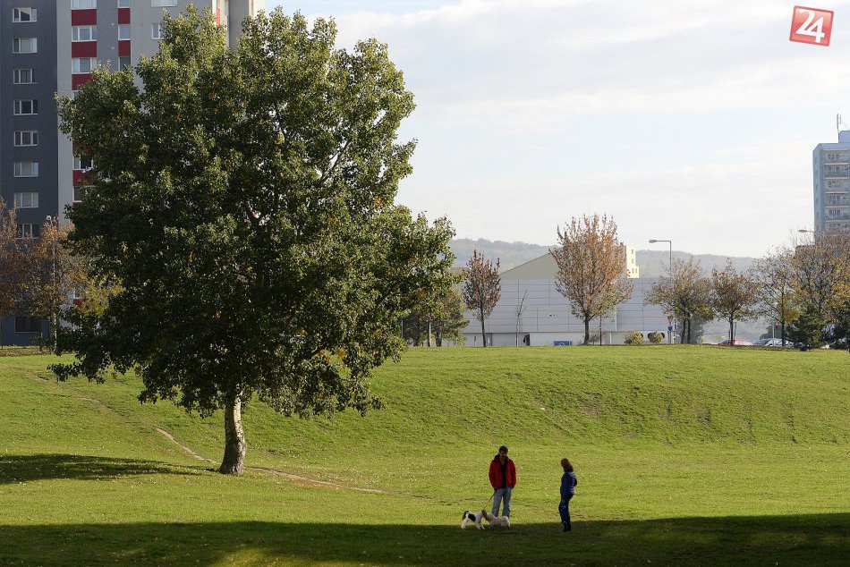 Ilustračný obrázok k článku Ženy v zastupiteľstve Dúbravky myslia na urbanizmus i podporu komunít