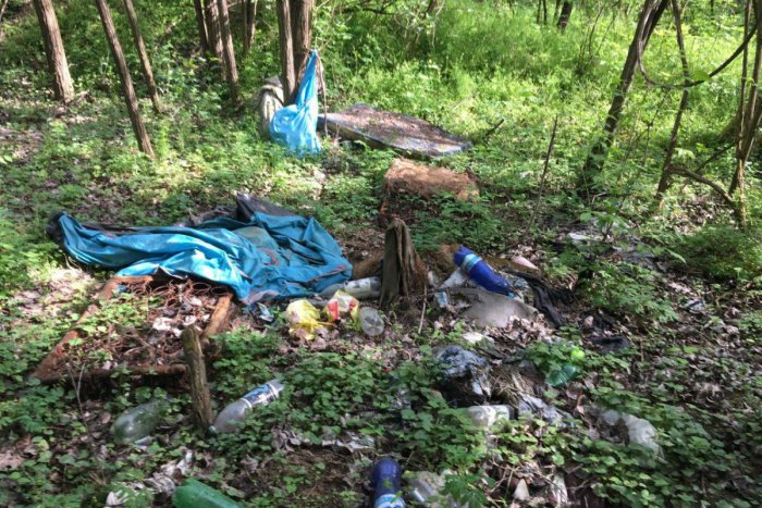 Ilustračný obrázok k článku FOTO, V Šali vyčistili lesík: S upratovaním pomohli aj bezdomovci