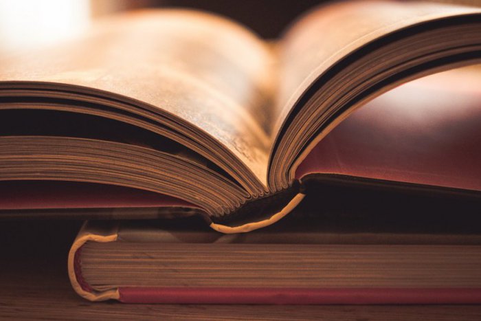 Ilustračný obrázok k článku Ocenili Najkrajšie knihy Slovenska za rok 2017: TOTO sú víťazi