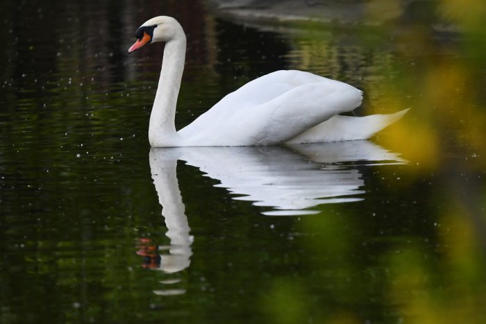 Ilustračný obrázok k článku RANNÁ ŠTVORKA: Víkend sa začne teplým a slnečným počasím, meniny má Jarmila