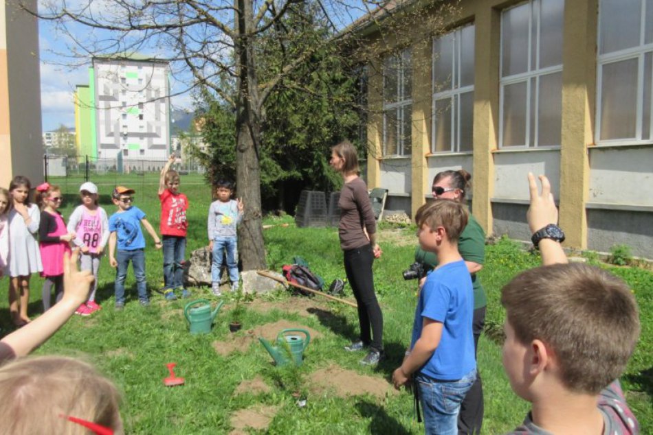 Ilustračný obrázok k článku FOTO: Malí Revúčania ukázali lásku k prírode. Spoločnými silami vysadili tuje