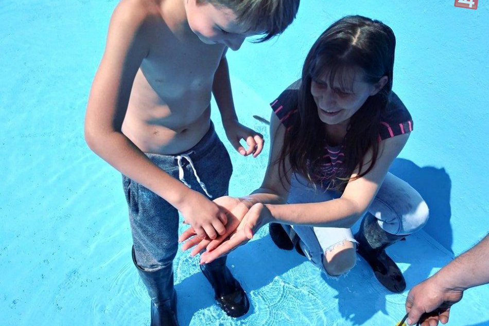 Ilustračný obrázok k článku Večianska nádrž pri studni je vyčistená: Rybky potešili aj okoloidúcich, FOTO