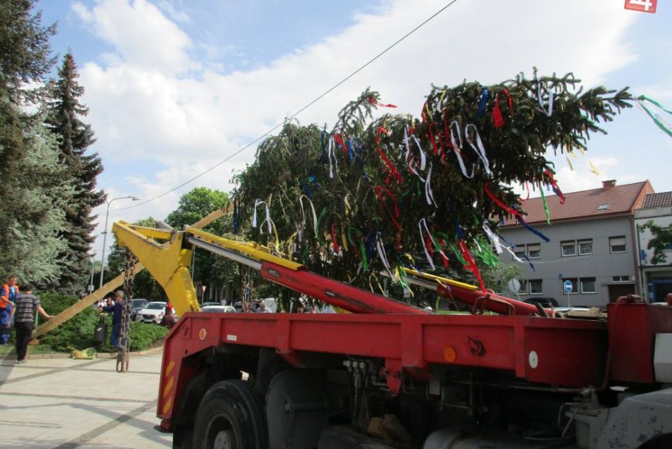Ilustračný obrázok k článku Zlaté Moravce ožijú tradíciami: Blíži sa obľúbené stavanie mája