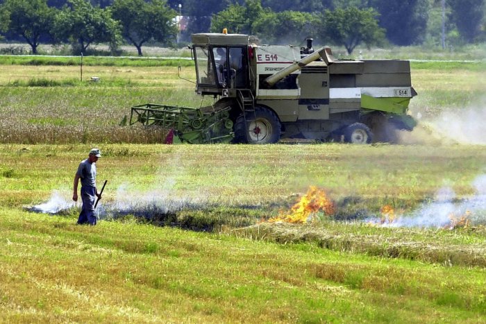 Ilustračný obrázok k článku Pálenie porastov škodí prírode a je protizákonné: Hrozí zaň mastná pokuta