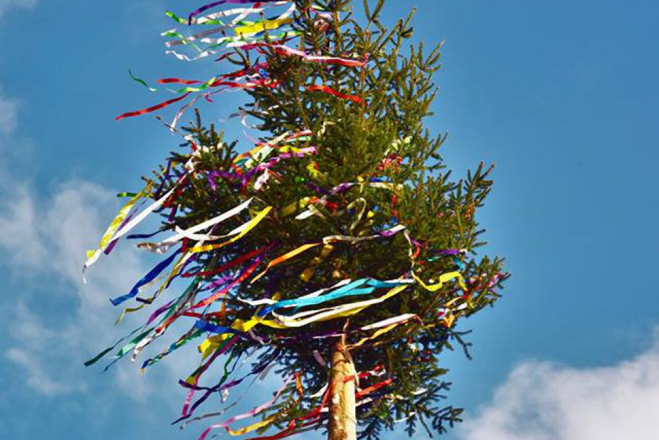 Ilustračný obrázok k článku Stavanie mája má svoje čaro: Pozrite si FOTO z mikulášskeho námestia