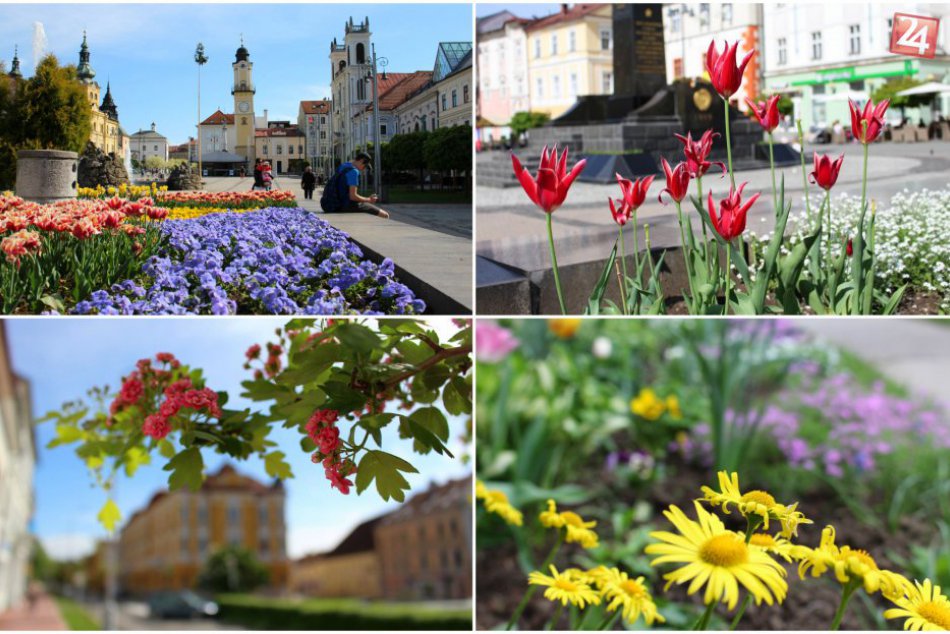 Ilustračný obrázok k článku FOTO: Farebná nádhera v uliciach Bystrice. Mesto doslova rozkvitlo do krásy