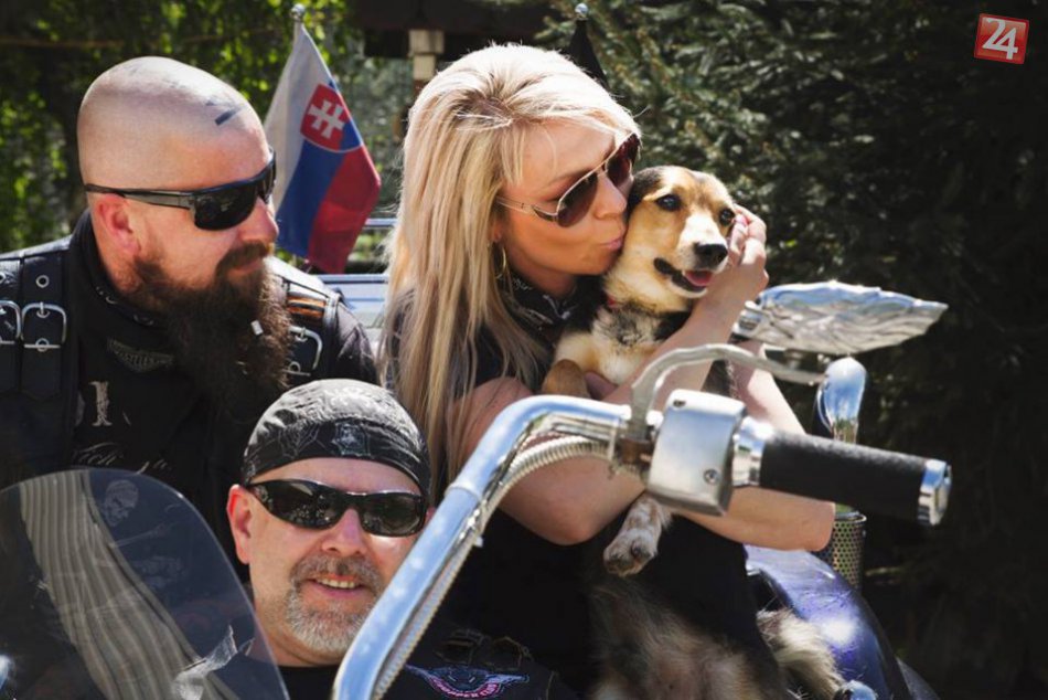 Ilustračný obrázok k článku FOTO: Motorkári s veľkým srdcom. Pomohli psíkom vo zvolenskej karanténnej stanici