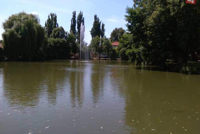 Ilustračný obrázok k článku Vedenie BBSK podporí cestovný ruch aj personálne, týkať sa to bude aj Novohradu