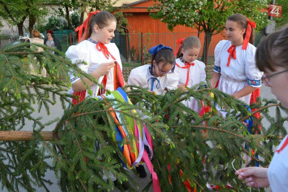 Ilustračný obrázok k článku Folkloristi z Maríny chystajú veľkú parádu. Vyvrcholením bude rúcanie mája
