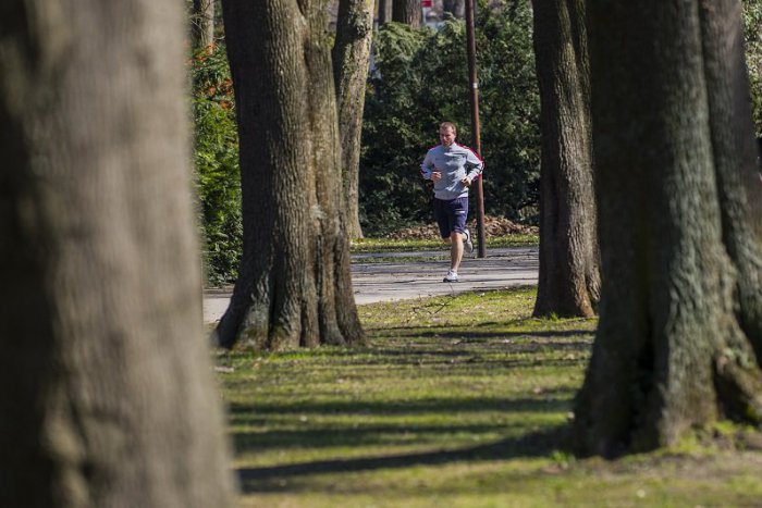 Ilustračný obrázok k článku Mládežnícky parlament organizuje prvý ročník jarného selfie behu