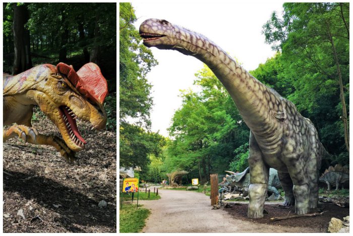 Ilustračný obrázok k článku Foto: Do DinoParku sa nasťahoval obrovský bylinožravý dinosaurus