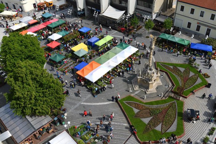 Ilustračný obrázok k článku Na Májovom kvete chýba kvetinová dekorácia: Radnica  má s ňou nové plány