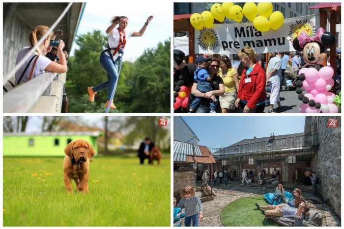 Ilustračný obrázok k článku TIPY NA VÍKEND: Jarné Kapitulské dvory, Míľa pre mamu aj Ružinovský psí miláčik