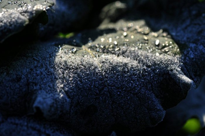 Ilustračný obrázok k článku Na strednom Slovensku sa môže vyskytnúť prízemný mráz, výstraha pre Brezno