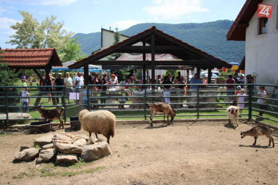 Ilustračný obrázok k článku FOTO: Ovčiarsky deň v Brzotíne prilákal davy