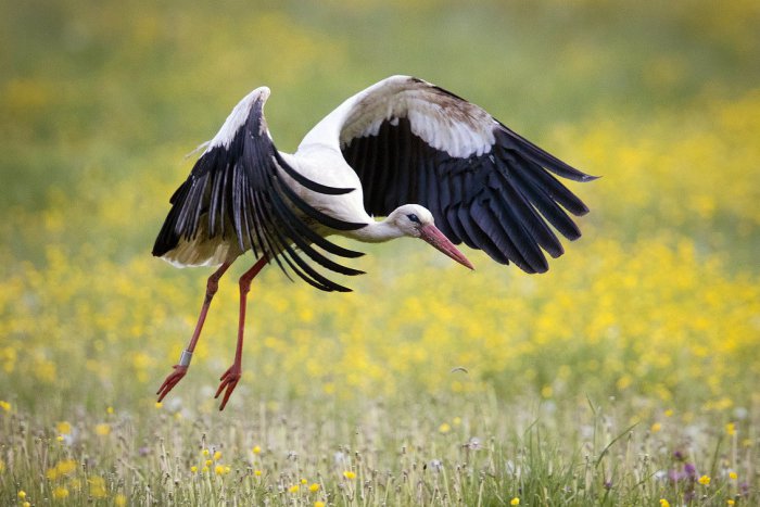 Ilustračný obrázok k článku RANNÁ ŠTVORKA: Začiatok pracovného týždňa bude slnečný, meniny má Zina