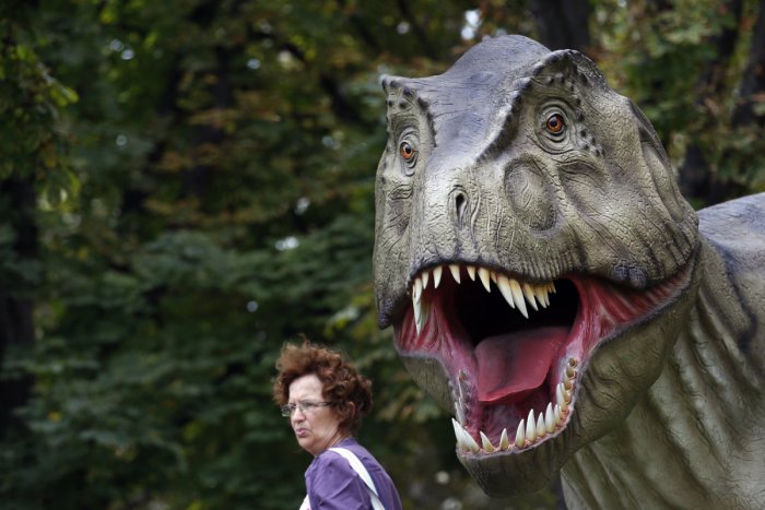 Ilustračný obrázok k článku Nové stopy dinosaurov v Tatrách: Pobehovali tu mäsožravci s tromi prstami?