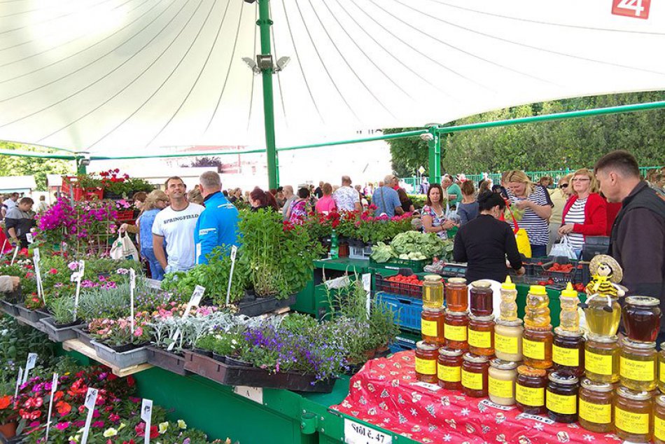 Ilustračný obrázok k článku V Lučenci uvoľnili ďalšie opatrenia: Dostanete sa na radnicu aj tržnicu