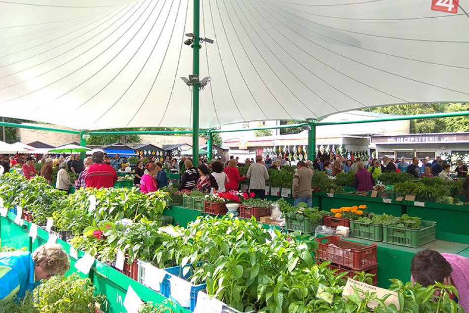 Ilustračný obrázok k článku Príbeh s tržnicou v Nových Zámkoch pokračuje: Ďalšia petícia a reči o nepodarku