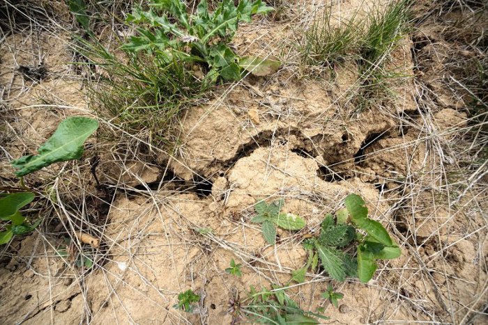 Ilustračný obrázok k článku Ak počas mája poriadne nezaprší, môže sa zopakovať situácia z minulého roka