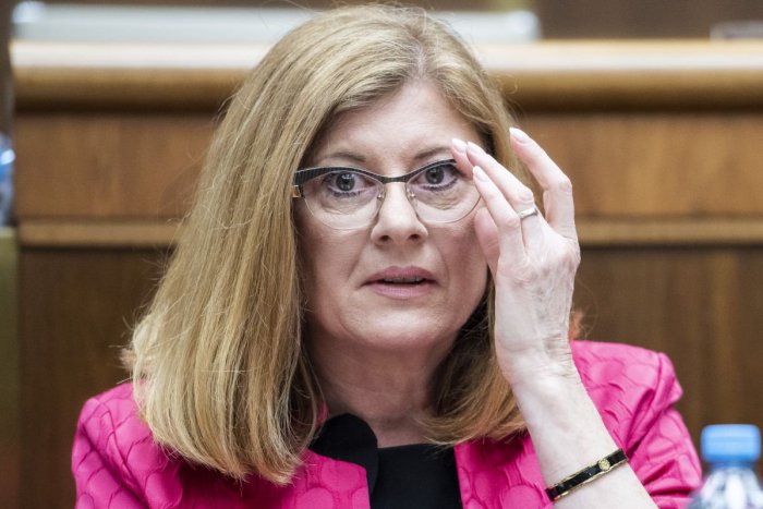 Ilustračný obrázok k článku Matečná ostáva ministerkou: Za vyslovenie nedôvery hlasovalo 60 poslancov