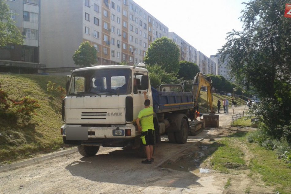 Ilustračný obrázok k článku Rozkvet sa dočká: Takýto je plán, FOTO