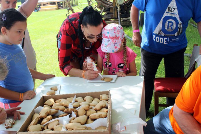 Ilustračný obrázok k článku Šaľafest sa vydaril: Navštívilo ho skoro šesťsto ľudí, FOTO