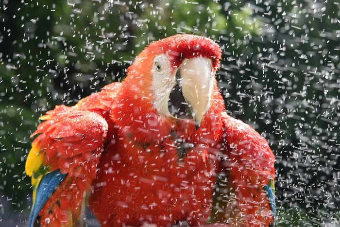 Ilustračný obrázok k článku Juh a juhozápad Slovenska čakajú vo štvrtok a v piatok horúčavy