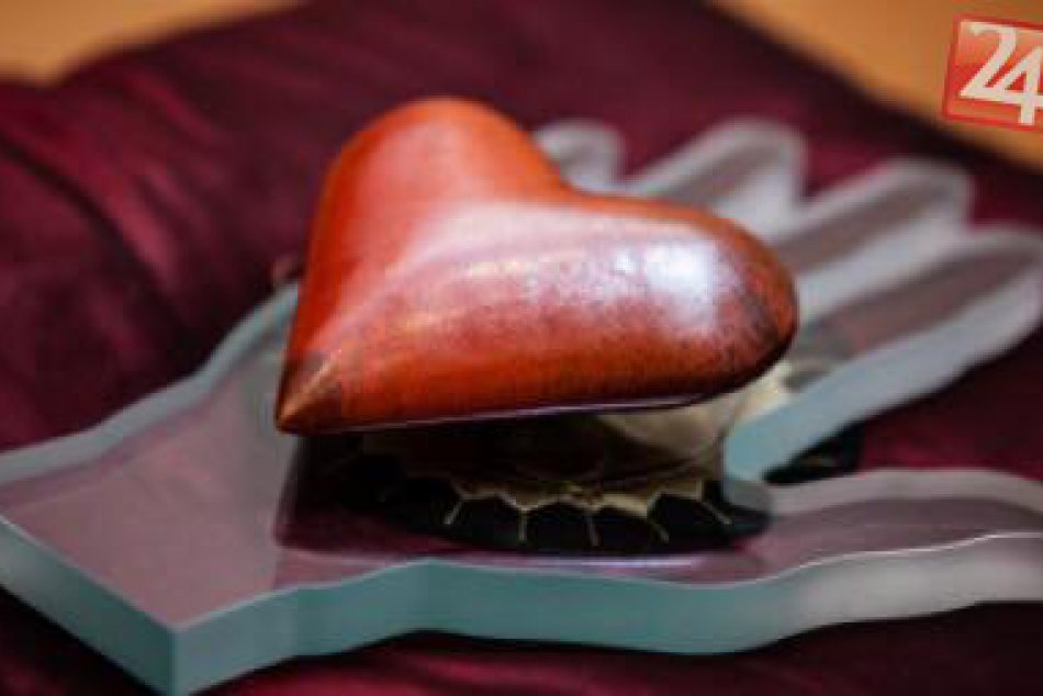 Ilustračný obrázok k článku Michalovciam sa dostalo peknej pocty: Takéto ocenenie získalo naše mesto