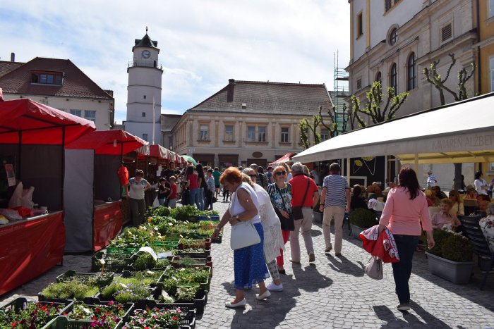 Ilustračný obrázok k článku Prvý júnový víkend v Trenčíne: Farmársky jarmok a Deň detí ešte nie sú všetko!