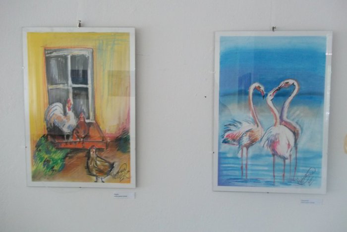 Ilustračný obrázok k článku Vo Večierke vystavuje učiteľka: Eva Matisová hľadá svoj štýl, FOTO