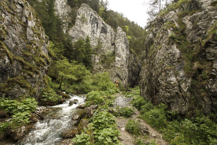 Ilustračný obrázok k článku Horskí záchranári pomohli v Prosieckej doline turistke s podozrením na zlyhanie srdca