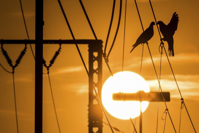 Ilustračný obrázok k článku Podrobný PREHĽAD pre Zvolenčanov: Kedy a kde budeme v auguste bez prúdu?