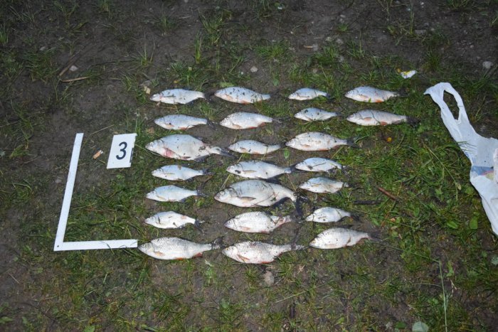 Ilustračný obrázok k článku Ukrajinci pytliačili na popradskom rybníku: Za päťdesiat eur za mreže!