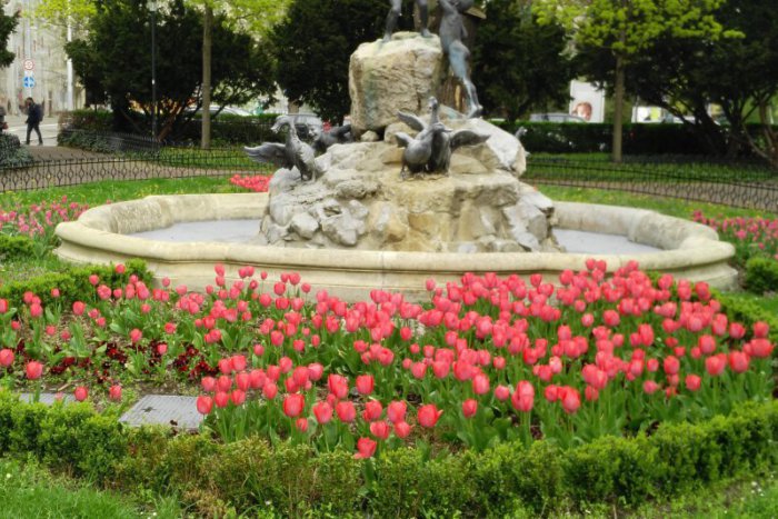 Ilustračný obrázok k článku Bratislava zaplatí za štvorročnú komplexnú starostlivosť o zeleň 10 miliónov eur