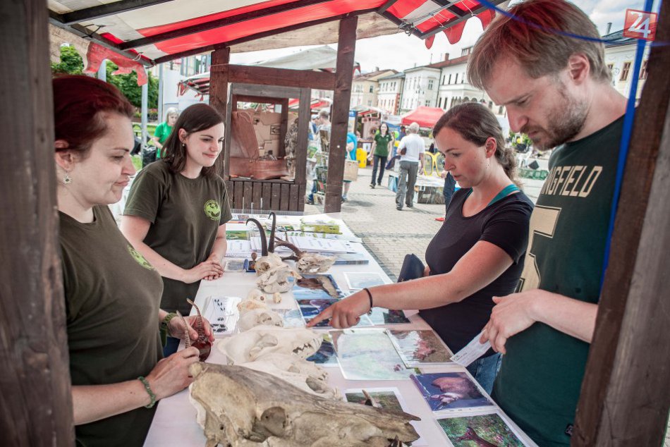 Ilustračný obrázok k článku FOTO: Na bystrickom námestí sa oslavovalo. Centrum žilo ekológiou a energiou