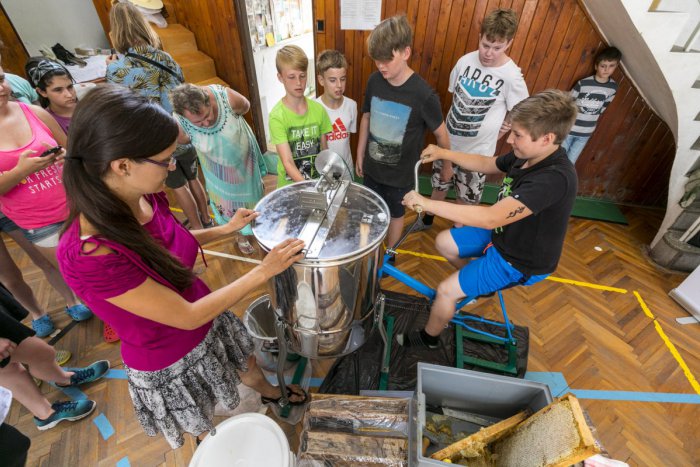 Ilustračný obrázok k článku Zvolenskí žiaci šliapli do pedálov, no z miesta sa nepohli. Vytočili 5 kíl medu