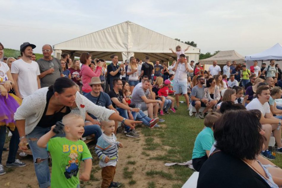 Ilustračný obrázok k článku FOTO: V Bojničkách to žilo. Vítanie leta vo vinici prilákalo stovky návštevníkov