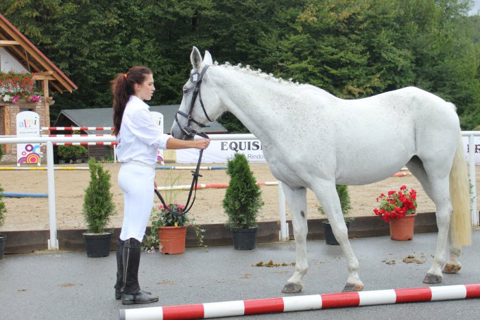 Ilustračný obrázok k článku Skončil sa 11. ročník Memoriálu Heraldiky: Jazdci sa predviedli v military