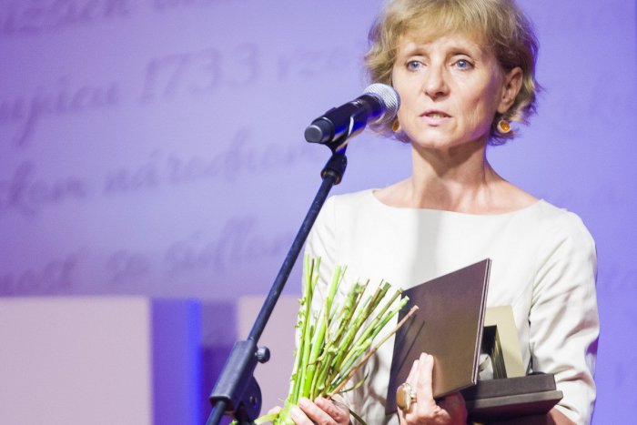 Ilustračný obrázok k článku Pod Zobor putuje vzácne ocenenie: Nitra má Galériu roka 2017