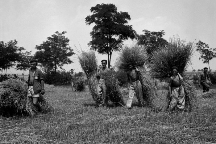 Ilustračný obrázok k článku Pikošky z obcí pri Nitre: Jedno z najčastejších priezvisk v Alekšinciach je z Oravy