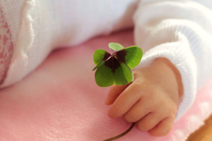 Ilustračný obrázok k článku Materské mlieko je dôležité: O imunite v dospelosti rozhodujú už prvé dni života