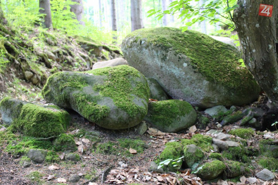 Ilustračný obrázok k článku FOTO: Vedeli ste, že pri Bystrici máme malé more? Priamo v lese za Malachovom