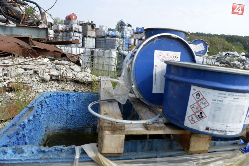 Ilustračný obrázok k článku Polícia Slovákom: Ako oznámiť týranie zvierat alebo znečistenie prírody?