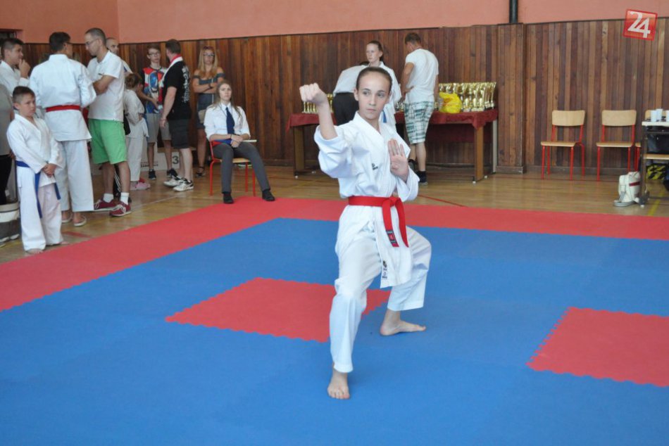 Ilustračný obrázok k článku Popradskí karatisti sa činili: Pod Tatrami pribudli ďalšie cenné kovy