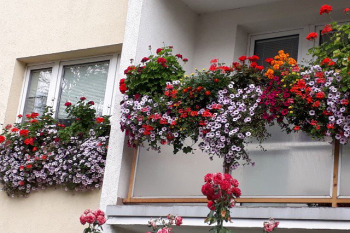 Ilustračný obrázok k článku Popýšte sa svojou prácou. Opäť sa súťaží o najkrajší balkón