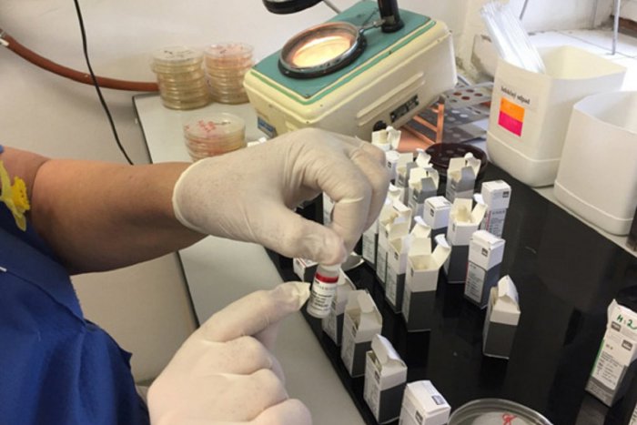 Ilustračný obrázok k článku Pozor na salmonelu: Dá sa ňou nakaziť pri hre so zvieraťom i na pieskovisku