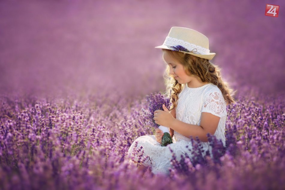 Ilustračný obrázok k článku Odfotografujte sa v levanduľovom poli: Malý kúsok Provensálska nájdete aj neďaleko Bratislavy
